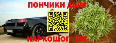крисы Пыть-Ях