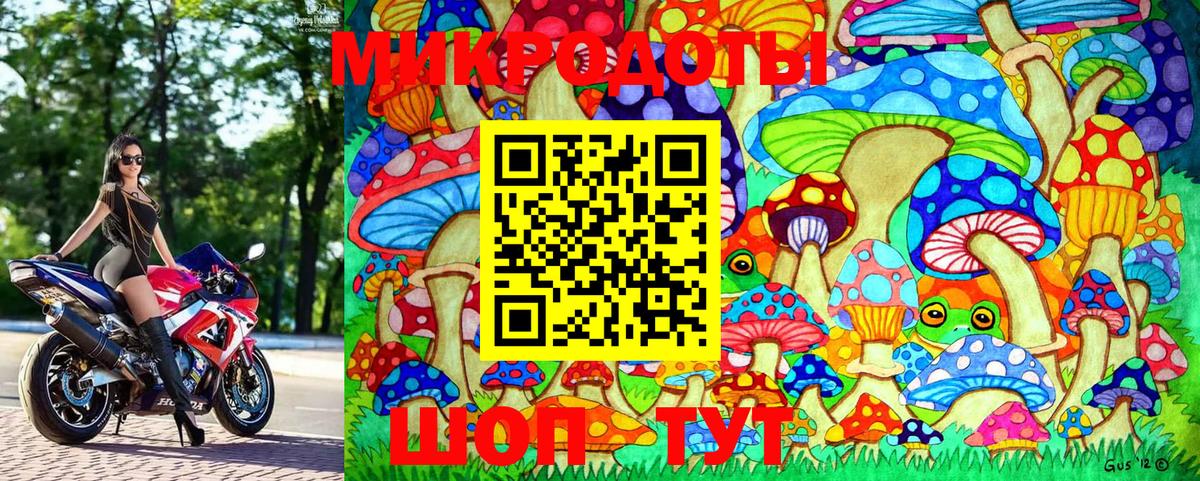 Псилоцибиновые грибы GOLDEN TEACHER  Вход с VPN  Псилоцибиновые грибы GOLDEN TEACHER  Родники 